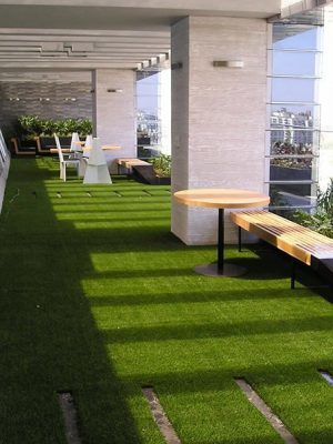 lawn-grass-feature-image