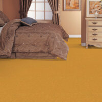 royal-welcome-310-yellow-rs